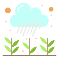 Growing Plant icon