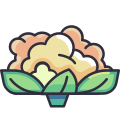 Cauliflower icon