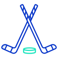 Ice Hokey icon