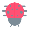 Ladybug icon