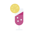 Cocktail icon