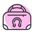 Accessory icon