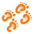 Baby Footprint icon