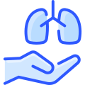 Pulmones icon