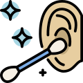 Ears icon