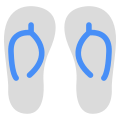 Flip Flop icon