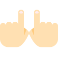 투핸즈스킨타입-1 icon