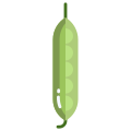 Pea icon