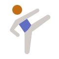 taekwondo-tipo-pelle-4 icon