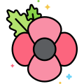 Remembrance icon