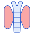 Thyroid icon