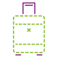 Valise icon