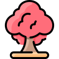 Maple icon