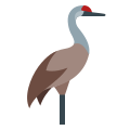 Crane Bird icon