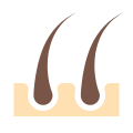 Two Hairs icon