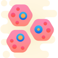 клетки тела icon