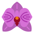 Orchidée icon