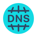 DNS icon