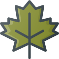 Maple Leaf icon