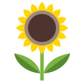 Sonnenblume icon