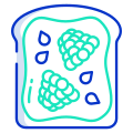 Raspberry Toast icon