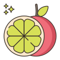 Fruit icon