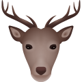 Deer icon