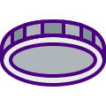 Coin icon