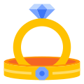 Anillo icon