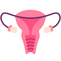 Ovary icon