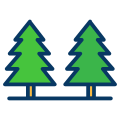 Pine Trees icon