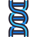 Dna icon