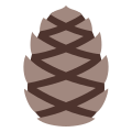 Pine Cone icon