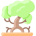Mangrove icon