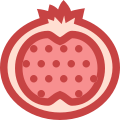 Pomegranate icon