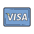 Visa icon