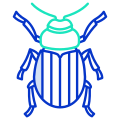 Bug icon