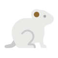 Ratón icon