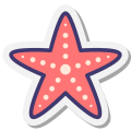 Морская звезда icon