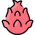 Pitaya icon