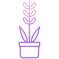 太陽の下の植物 icon