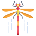 Dragonfly icon