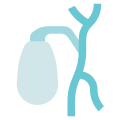 Gallbladder icon