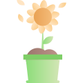 Sun Flower_1 icon