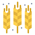 Grain icon