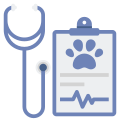 Checkup icon