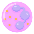 White Blood Cell icon