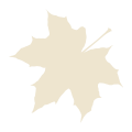 Maple leaf icon