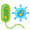 Bacteria icon