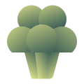 Broccoli icon